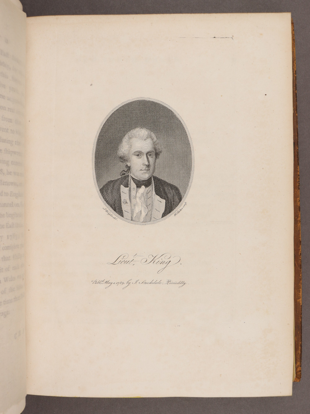 Plate 8